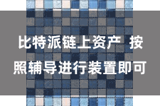 比特派链上资产 按照辅导进行装置即可