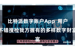 比特派数字账户App 用户不错搜检我方握有的多样数字财富