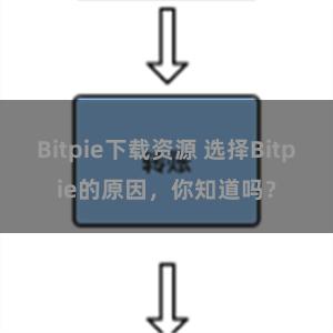 Bitpie下载资源 选择Bitpie的原因，你知道吗？