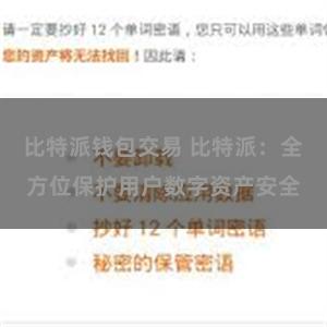 比特派钱包交易 比特派：全方位保护用户数字资产安全