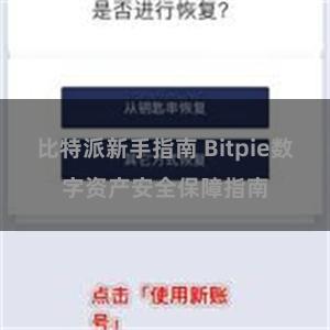 比特派新手指南 Bitpie数字资产安全保障指南