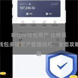 Bitpie钱包用户 比特派钱包多链资产管理技巧：全面攻略