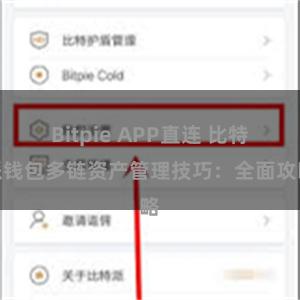 Bitpie APP直连 比特派钱包多链资产管理技巧：全面攻略