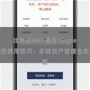 比特派APP直连 Bitpie钱包使用技巧：多链资产管理全攻略