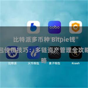 比特派多币种 Bitpie钱包使用技巧：多链资产管理全攻略