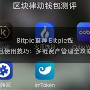 Bitpie推荐 Bitpie钱包使用技巧：多链资产管理全攻略