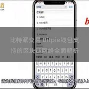 比特派交易 Bitpie钱包支持的区块链网络全面解析