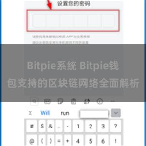 Bitpie系统 Bitpie钱包支持的区块链网络全面解析