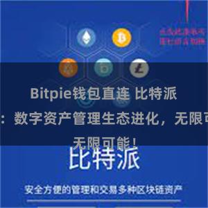 Bitpie钱包直连 比特派钱包：数字资产管理生态进化，无限可能！