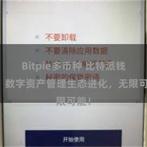 Bitpie多币种 比特派钱包：数字资产管理生态进化，无限可能！