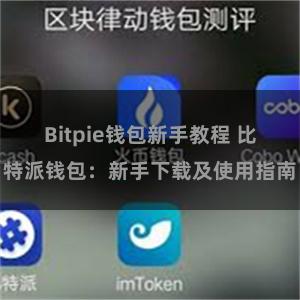 Bitpie钱包新手教程 比特派钱包：新手下载及使用指南