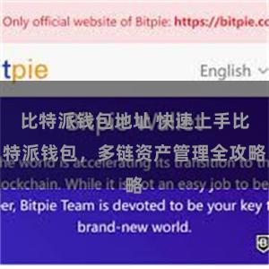比特派钱包地址 快速上手比特派钱包，多链资产管理全攻略