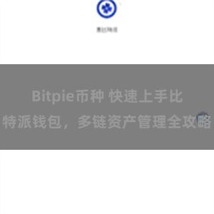 Bitpie币种 快速上手比特派钱包，多链资产管理全攻略