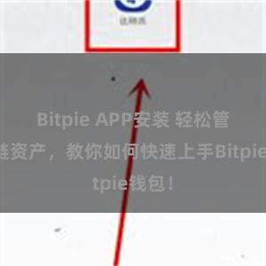 Bitpie APP安装 轻松管理多链资产，教你如何快速上手Bitpie钱包！