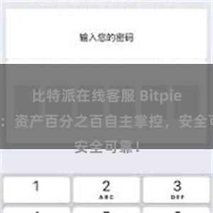 比特派在线客服 Bitpie钱包：资产百分之百自主掌控，安全可靠！