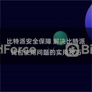 比特派安全保障 解决比特派钱包使用问题的实用技巧