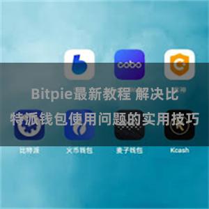 Bitpie最新教程 解决比特派钱包使用问题的实用技巧