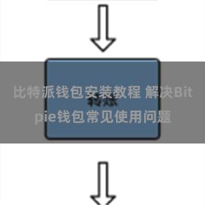 比特派钱包安装教程 解决Bitpie钱包常见使用问题