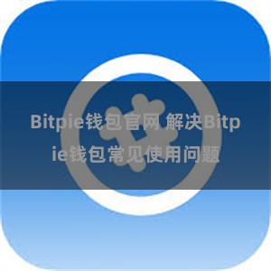 Bitpie钱包官网 解决Bitpie钱包常见使用问题