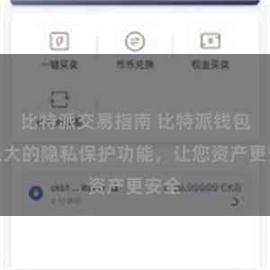 比特派交易指南 比特派钱包：强大的隐私保护功能，让您资产更安全