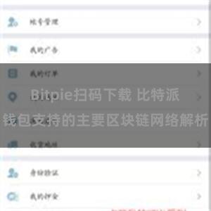 Bitpie扫码下载 比特派钱包支持的主要区块链网络解析