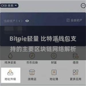 Bitpie轻量 比特派钱包支持的主要区块链网络解析