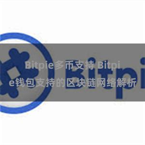 Bitpie多币支持 Bitpie钱包支持的区块链网络解析