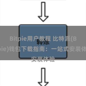 Bitpie用户教程 比特派(Bitpie)钱包下载指南：一站式安装体验