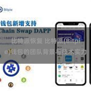 比特派恢复 比特派(Bitpie)钱包的团队背景与技术实力