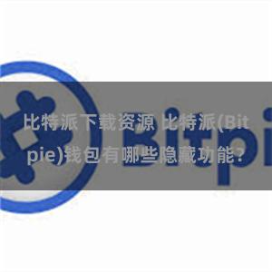 比特派下载资源 比特派(Bitpie)钱包有哪些隐藏功能？