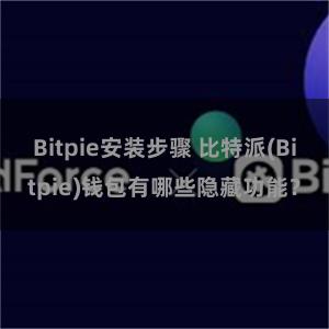 Bitpie安装步骤 比特派(Bitpie)钱包有哪些隐藏功能？