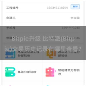 Bitpie升级 比特派(Bitpie)交易历史记录在哪里查看？