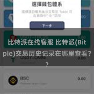 比特派在线客服 比特派(Bitpie)交易历史记录在哪里查看？