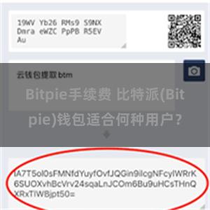 Bitpie手续费 比特派(Bitpie)钱包适合何种用户？