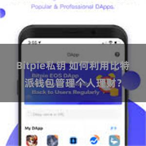 Bitpie私钥 如何利用比特派钱包管理个人理财？