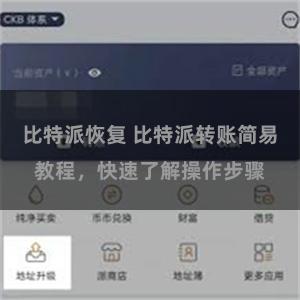 比特派恢复 比特派转账简易教程，快速了解操作步骤