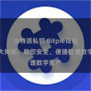 比特派私钥 Bitpie钱包功能大揭秘，助您安全、便捷管理数字资产
