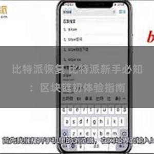 比特派恢复 比特派新手必知：区块链初体验指南