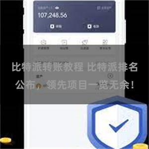 比特派转账教程 比特派排名公布，领先项目一览无余！