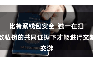 比特派钱包安全  独一在扫数私钥的共同证据下才能进行交游
